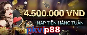 pkvip88